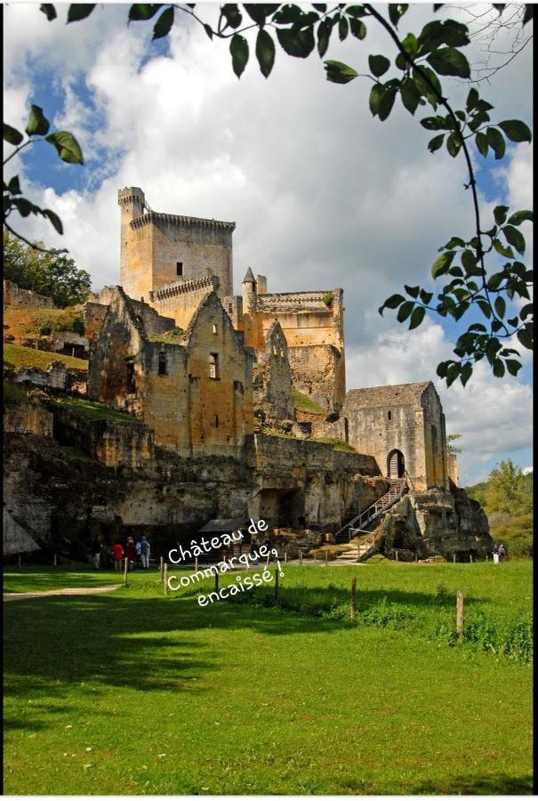 Chateau De L Herm, Lascaux, Sarlat, En Perigord Noir Villa Rouffignac Saint-Cernin Екстериор снимка